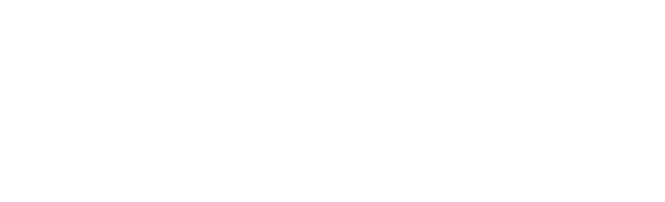 TizBiz Loading Logo